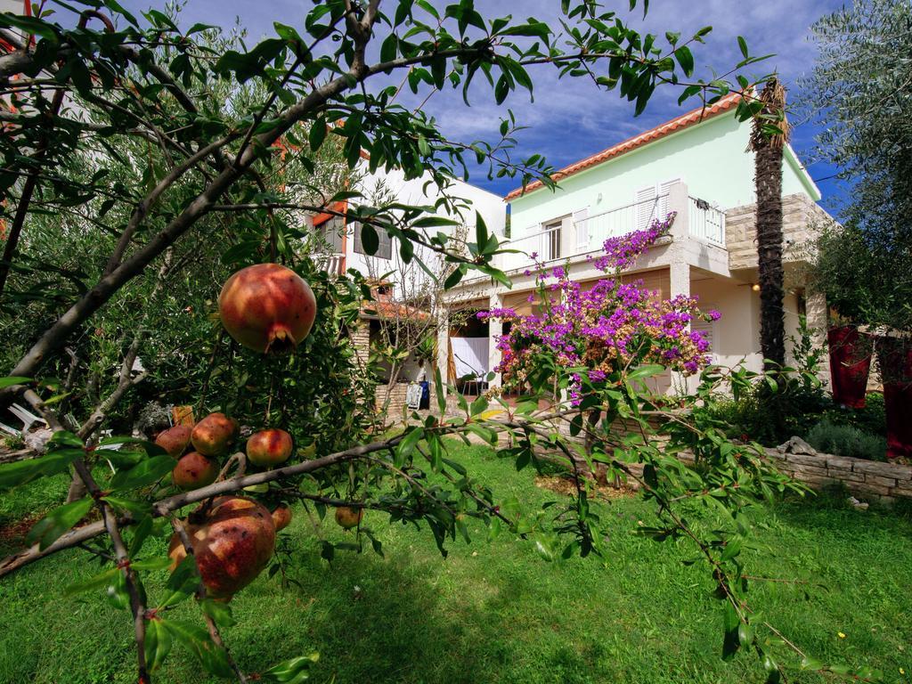 Apartment Maslina Bibinje Exterior photo